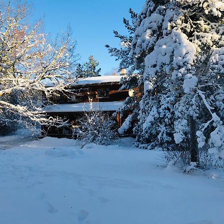Kibuvitsa Holiday House Muratsi Ngoại thất bức ảnh